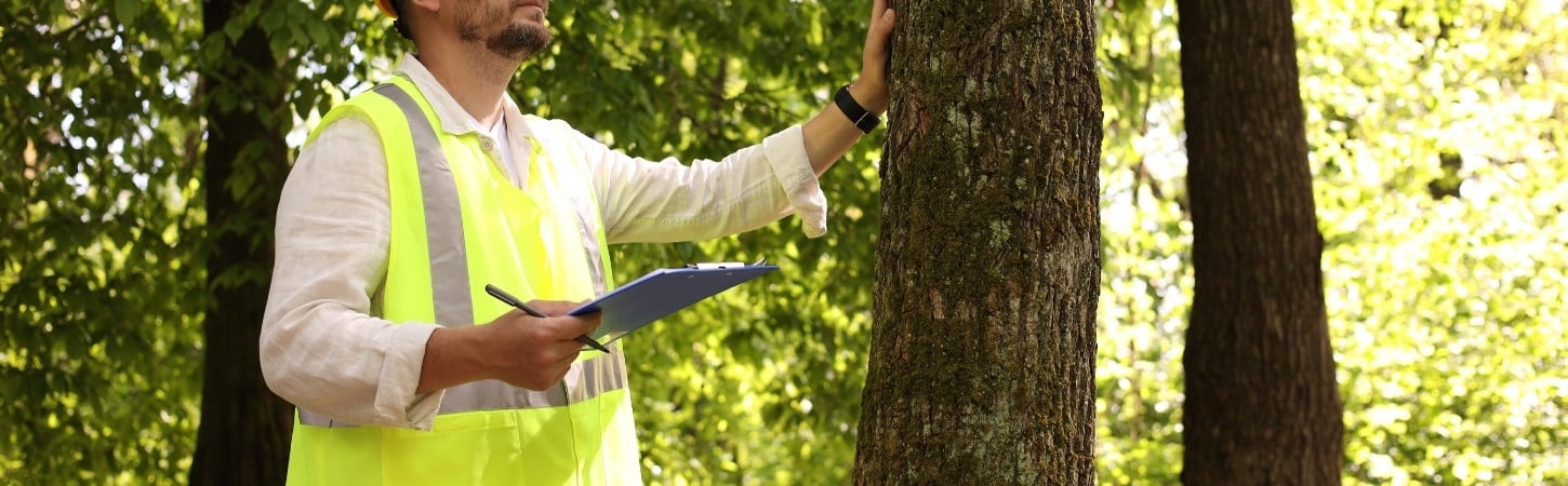 Professional arborist in a high-visibility safety vest inspecting a tree trunk and taking notes on a clipboard during a tree assessment
