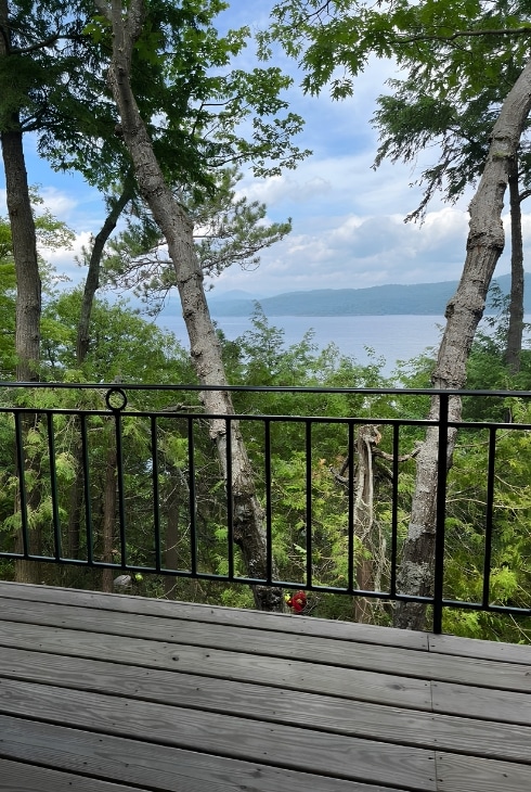 Mature trees visible from a residential terrace railing with a bay view in the background