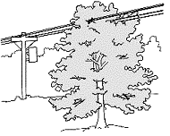 Avoiding Tree and Utility Conflicts