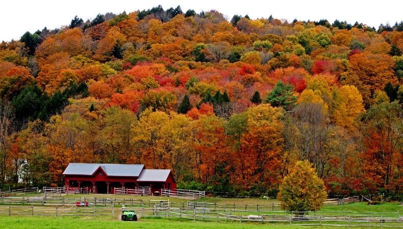 Vermont hillside in full fall foliage above a red barn and fenced pasture in the Montpelier corridor.